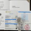 ROLEX GMT MASTER II 40 MM - Đồng Hồ Rolex - Nam - DHNTT657
