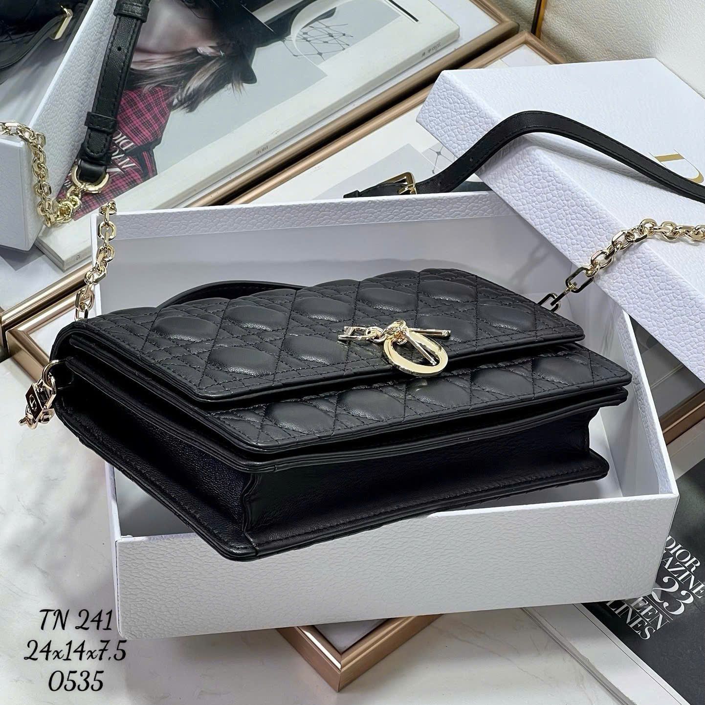 Túi Nữ Dior - TNTT193