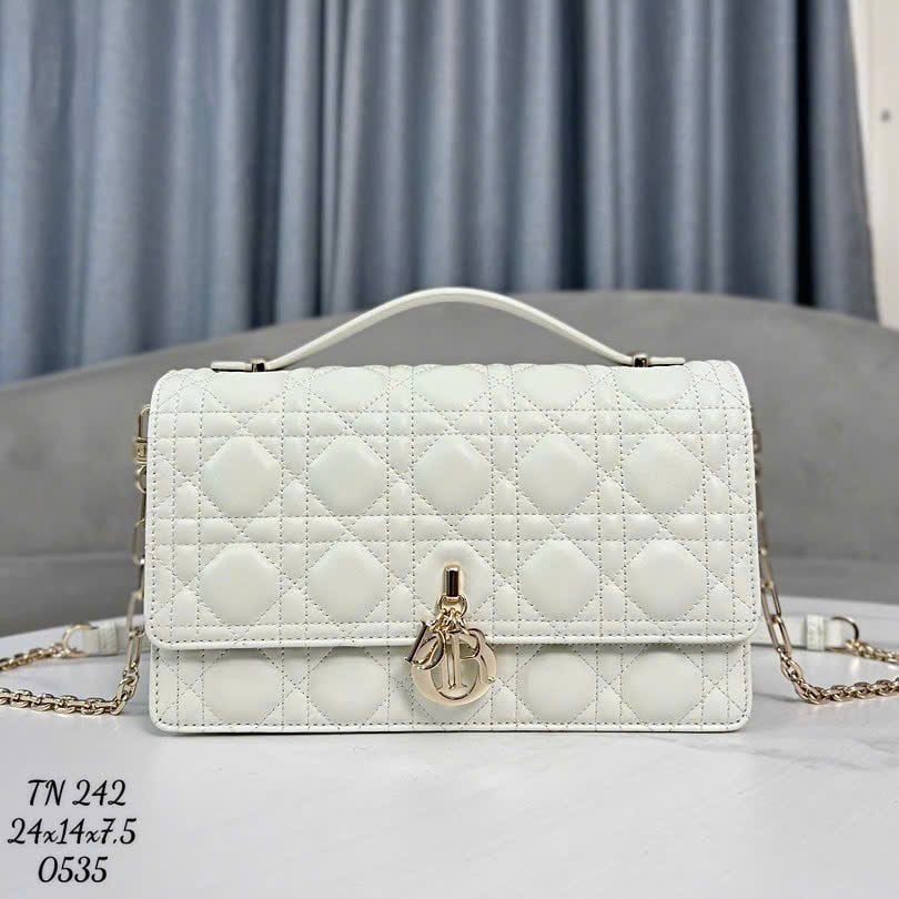 Túi Nữ Dior - TNTT64