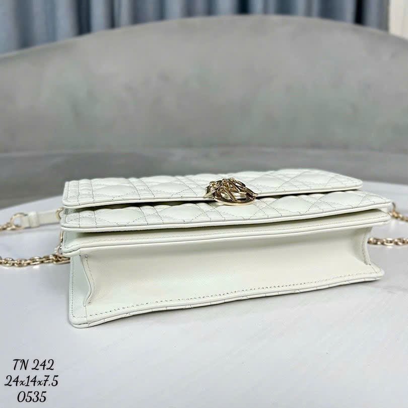 Túi Nữ Dior - TNTT64