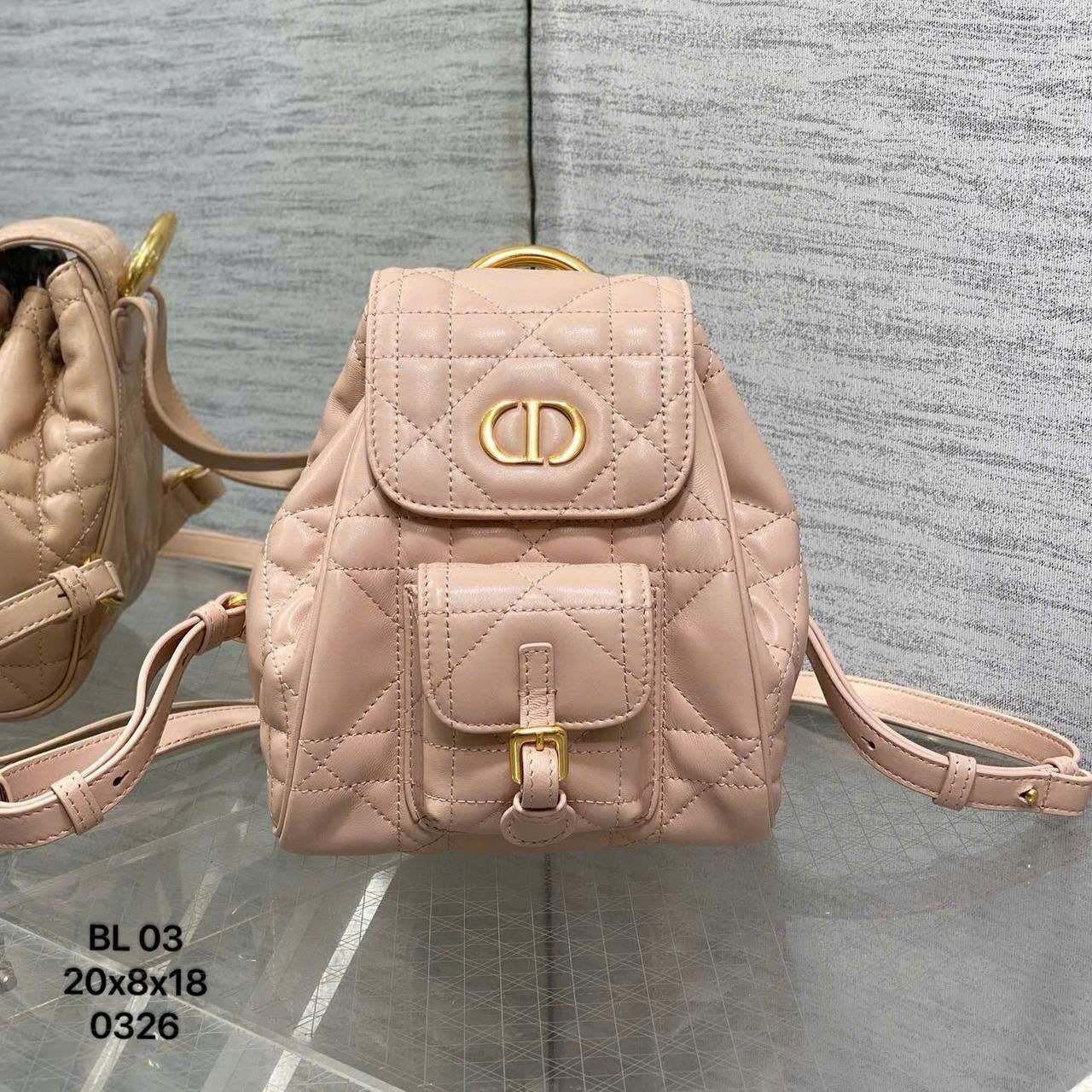 Túi Nữ Dior - TNTT202