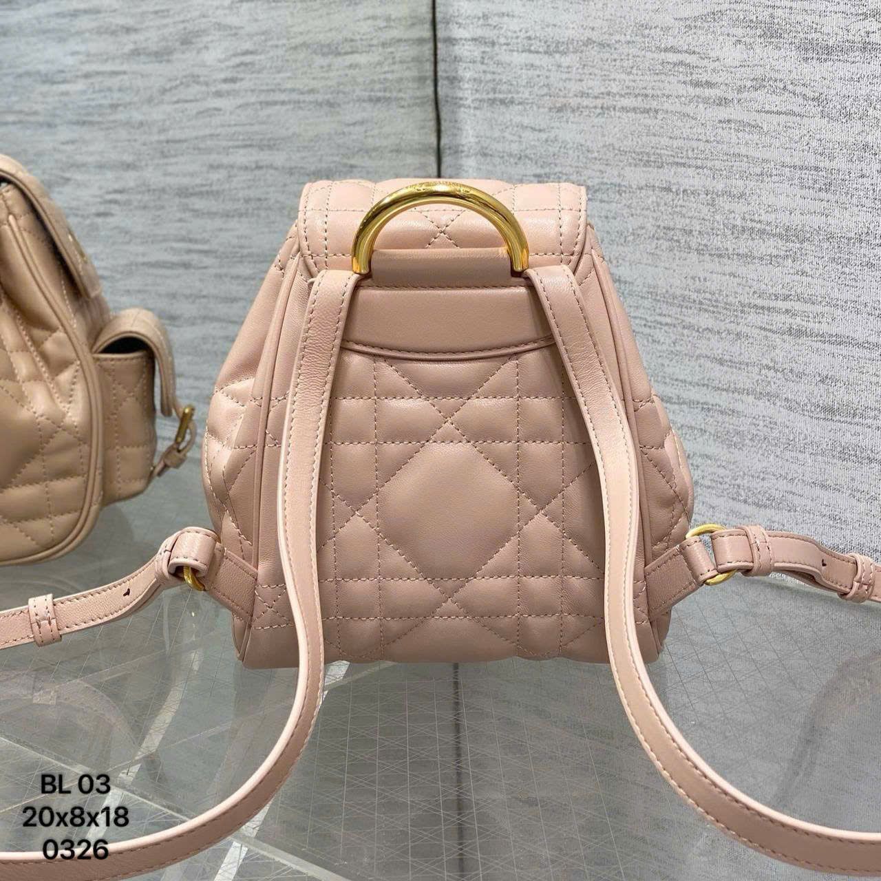 Túi Nữ Dior - TNTT202