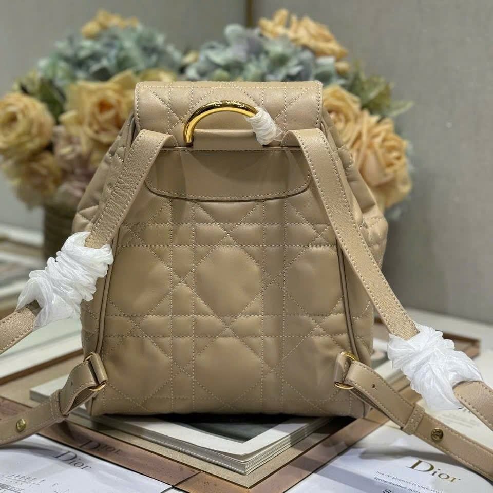 Túi Nữ Dior - TNTT203
