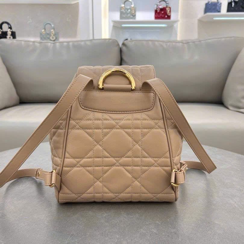 Túi Nữ Dior - TNTT204