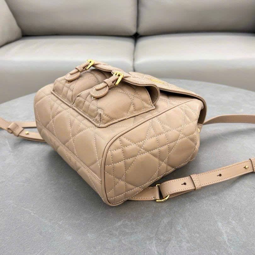 Túi Nữ Dior - TNTT204
