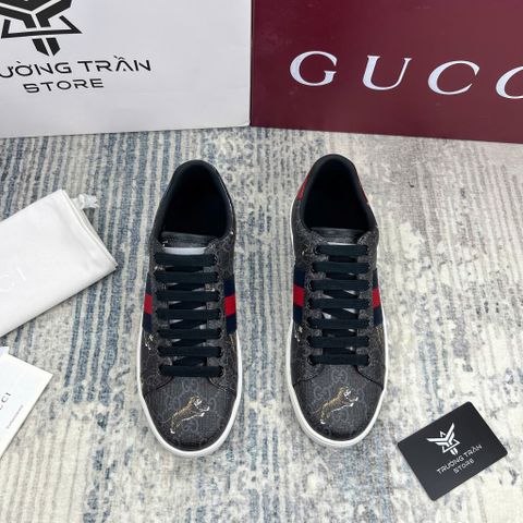 SNEAKER - Giày Thể Thao Gucci - Nam - GNTT214