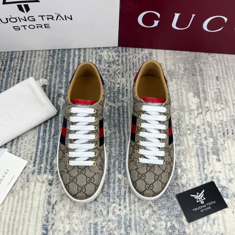 SNEAKER - Giày Thể Thao Gucci - Nam - GNTT80