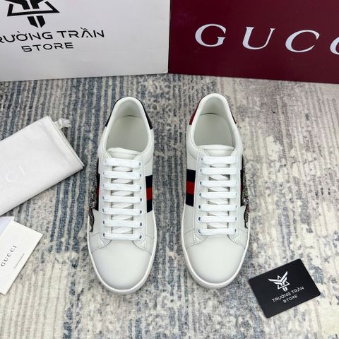 SNEAKER - Giày Thể Thao Gucci - Nam - GNTT123