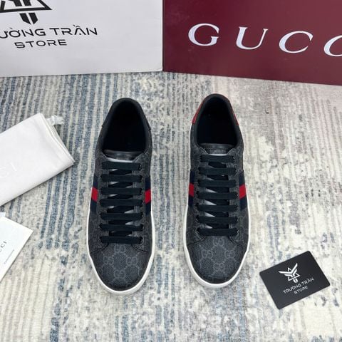 SNEAKER - Giày Thể Thao Gucci - Nam - GNTT213