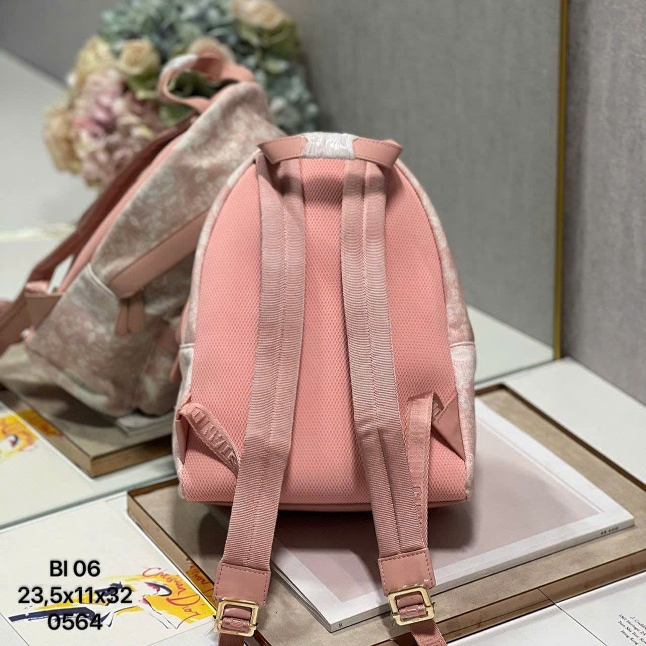 Túi Nữ Dior - TNTT222