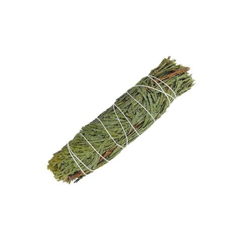 CEDAR SAGE - LÁ TUYẾT TÙNG THƠM