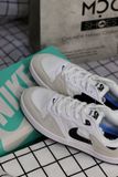  1413 - HÀNG CHÍNH HÃNG - GIÀY NIKE SB ALLEYOOP 