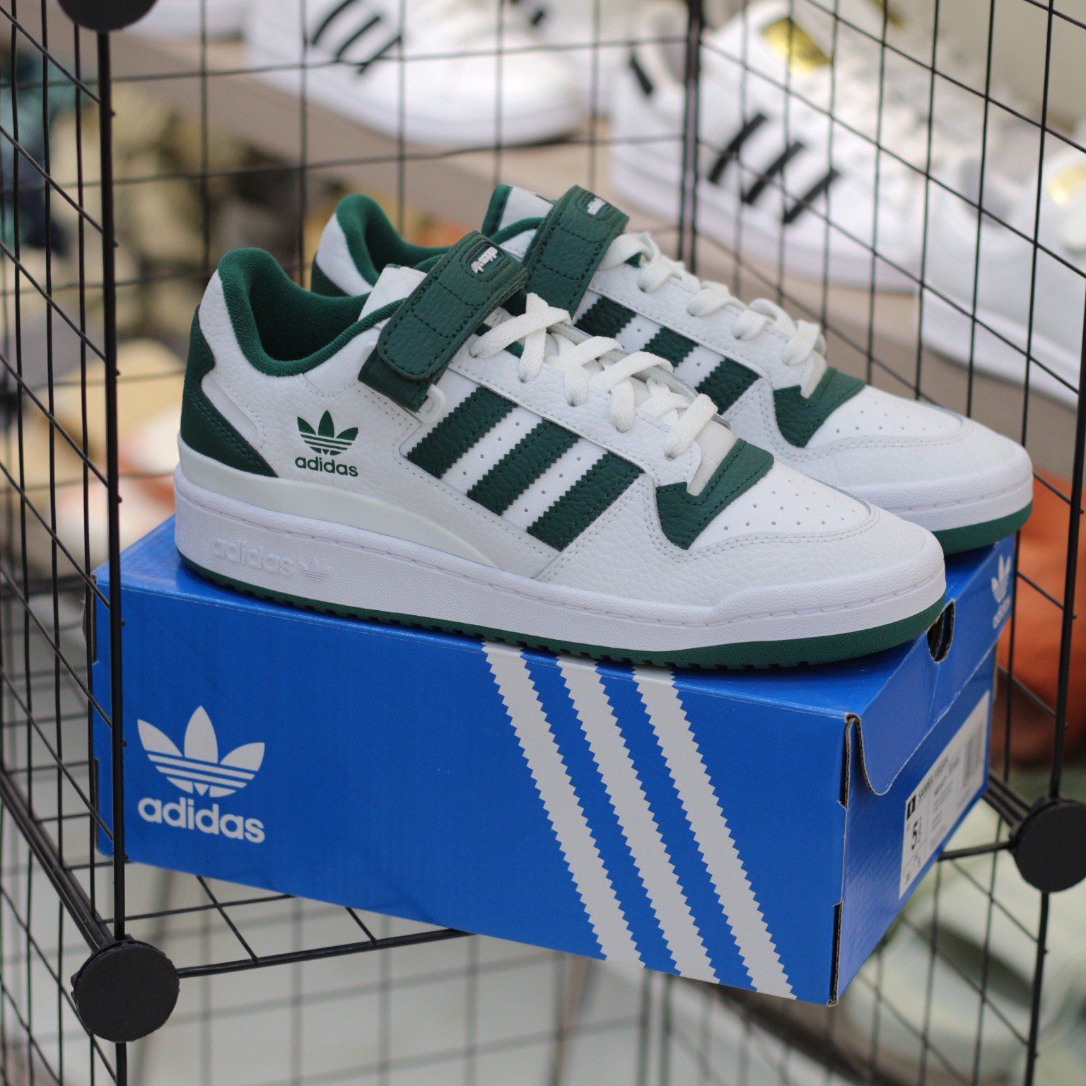  1598 - HÀNG CHÍNH HÃNG - GIÀY ADIDAS - FORUM LOW - COLLEGIATE GREEN - CODE: GY8556 