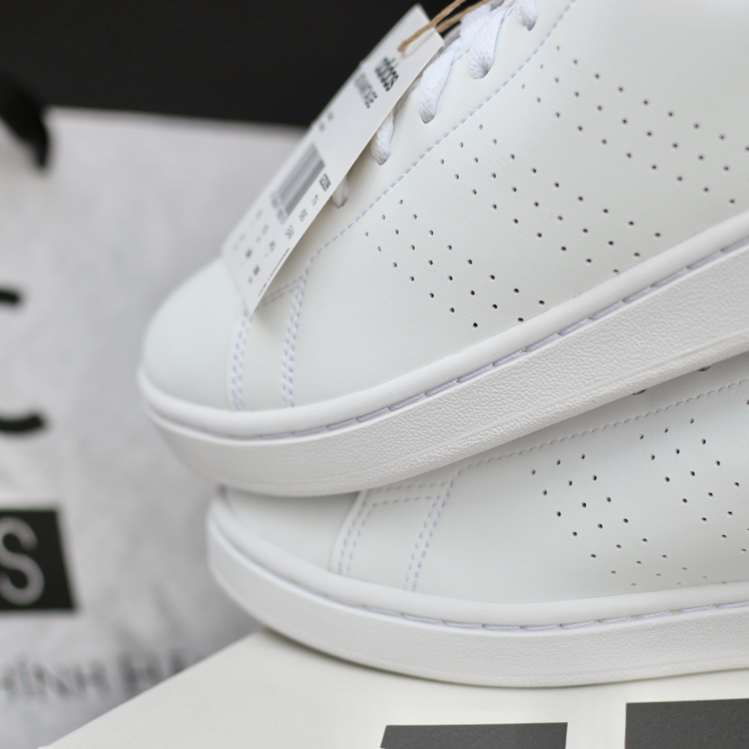 Adidas Smith