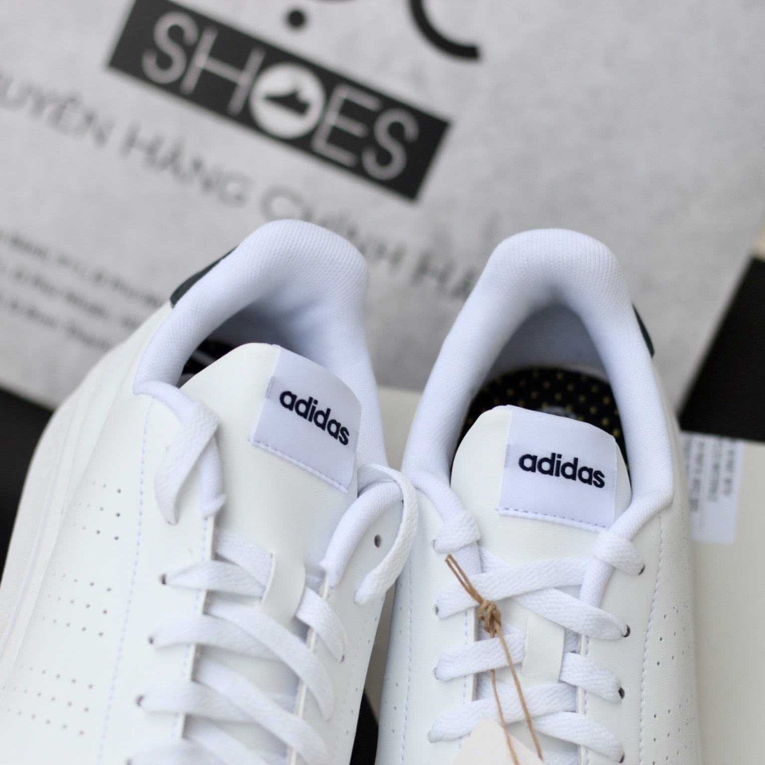 Adidas Smith