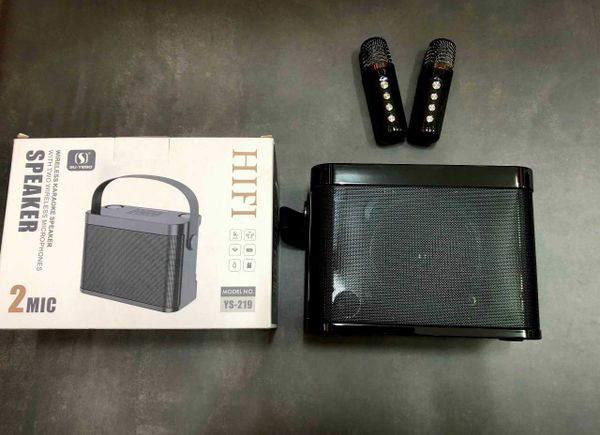 Loa Karaoke YS 219 Kèm 2 Micro