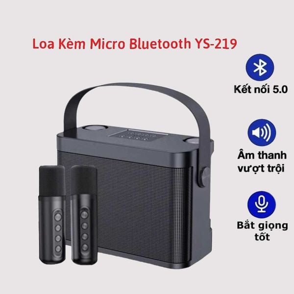Loa Karaoke YS 219 Kèm 2 Micro