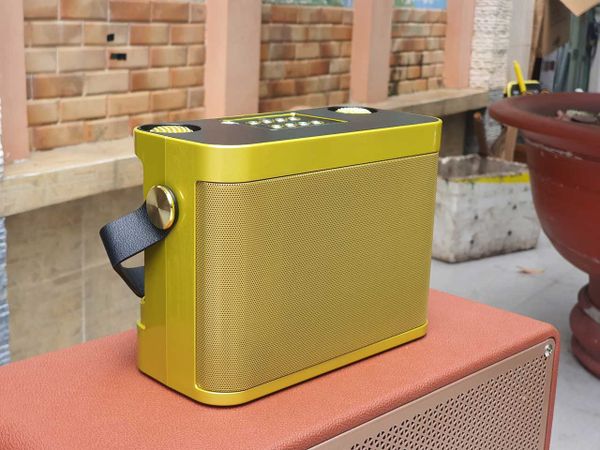 Loa Karaoke YS 219 Kèm 2 Micro