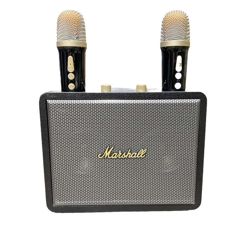 1. Giới thiệu về loa karaoke mini