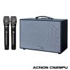 Acnos CS251PU Loa Karaoke mini công xuất lớn chính hãng