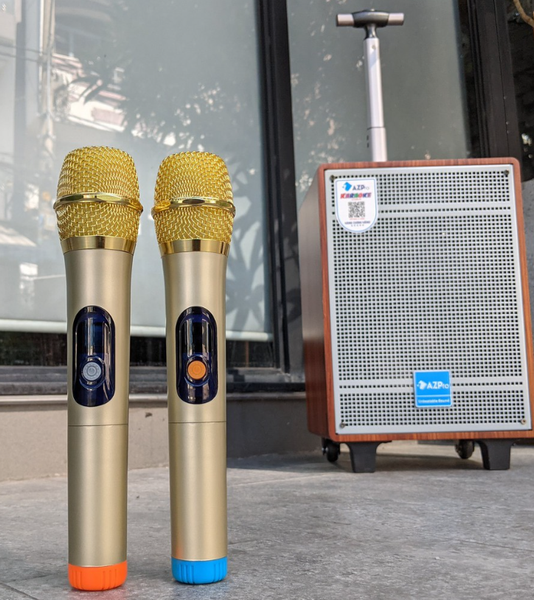 Loa Karaoke Di Động AZPro AZ308