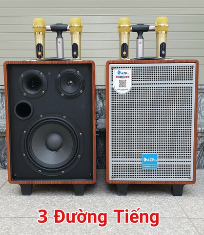 Loa Karaoke Di Động AZPro AZ308