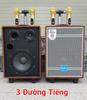 Loa Karaoke Di Động AZPro AZ308