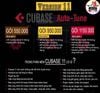 Phần Mềm Cubase 11 - Autotune pro Thu Âm livestream