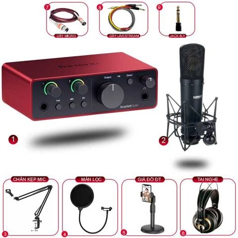 Combo Thu Âm Focusrite Solo Gen 4 và Warm Audio WA-87 R2