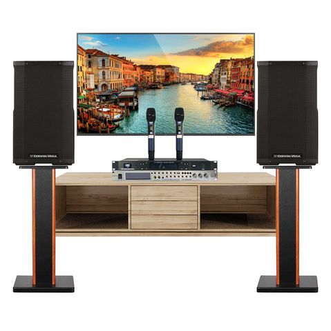 Dàn Karaoke Gia Đình Cerwin Vega LP07 (Vang Cơ K6900 + Loa CVE 10 + Micro CAVS V5)