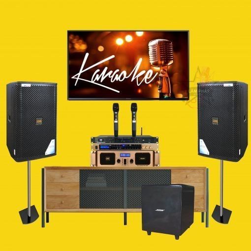 Combo Karaoke CAVS Chuyên Nghiệp LP04