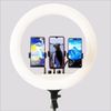 Đèn Livestream 36CM Chụp Ảnh - Quay Phim - Makeup