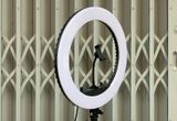 Đèn Livestream 45CM Cực Sáng
