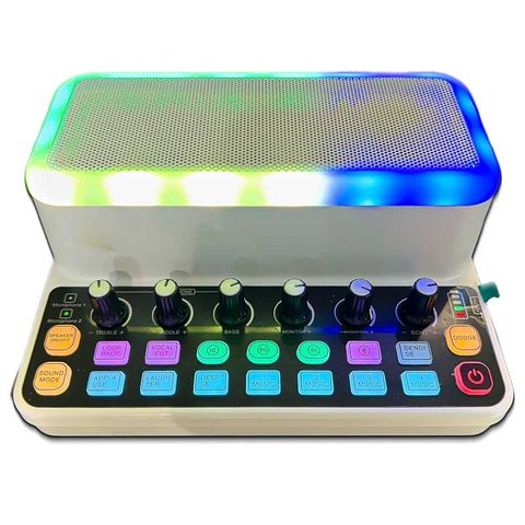 Loa karaoke mini Y3 kèm 2 micro tích hợp soundcard livestream