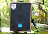 Loa Karaoke Di Động AZ Pro AZ8A (1 Micro)