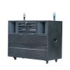 Loa Kéo Điện 4 Tấc Đôi LP1400S