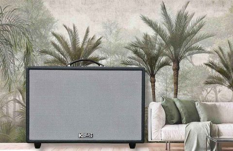 Loa Acnos CS3600 dàn âm thanh công suất lớn