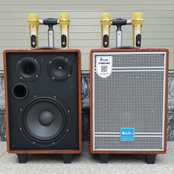 Loa Karaoke Di Động AZPro AZ310