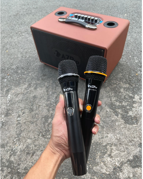 Loa Karaoke Di Động AZPro AZ338