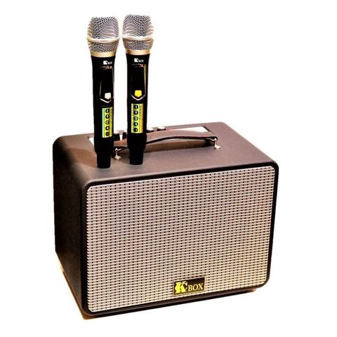 Loa Karaoke Di Động KC135