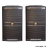 Loa Prosing Full W10-P1TW Cao Cấp