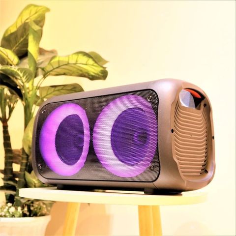 Loa Karaoke Di Động Temeisheng TMS 6616