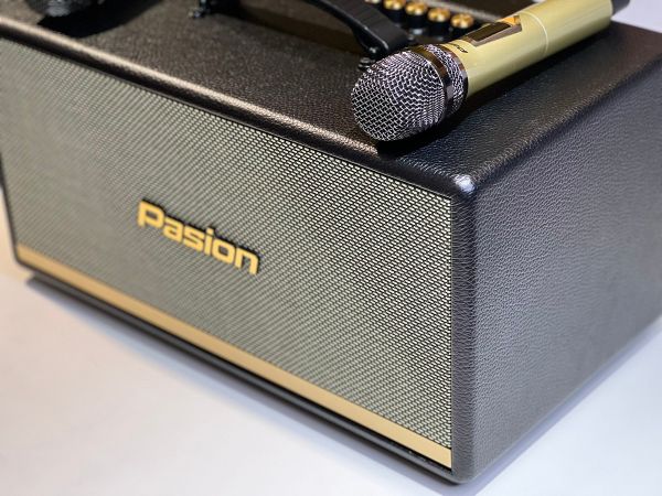 Loa Di Động Paramax PASION 2 - Mới 99%, Bảo Hành 12