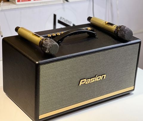 Loa Di Động Paramax PASION 2 - Mới 99%, Bảo Hành 12