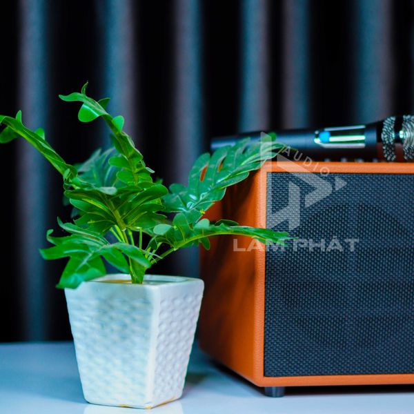 Loa Karaoke T18 Xách Tay Di Động