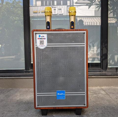 Loa Karaoke Di Động AZPro AZ310