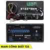 Main Board Công Suất Loa Karaoke T23