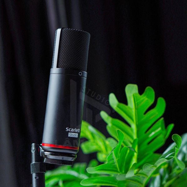Micro Thu Âm Focusrite Scarlett CM25 MKII