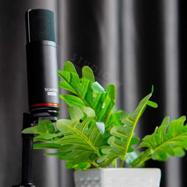 Micro Thu Âm Focusrite Scarlett CM25 MKII