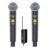 Micro Không Dây ISK SM58 2 Mic